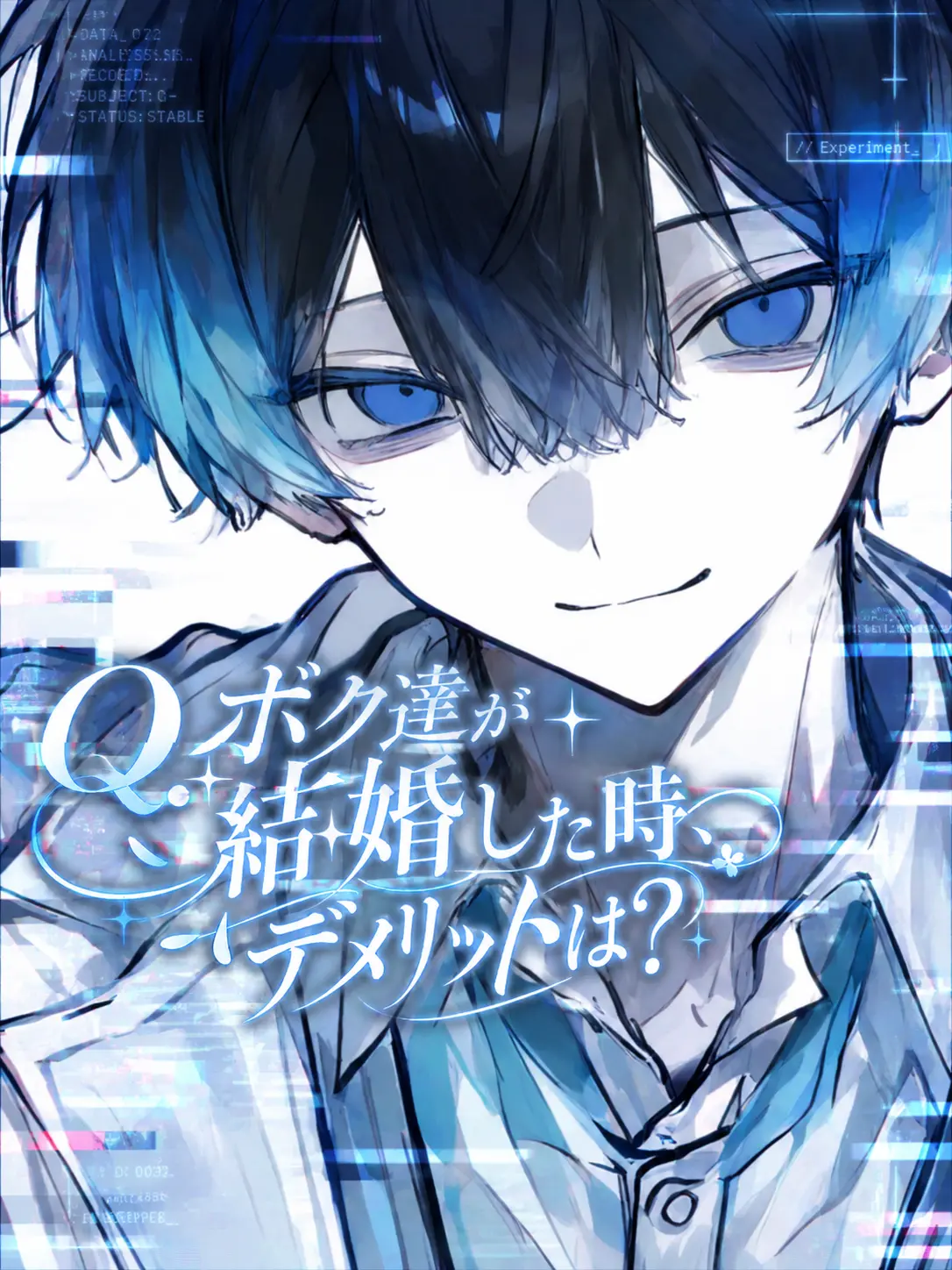 0_raimw.2의 Q.ボク達が結婚した時、デメリットは？
