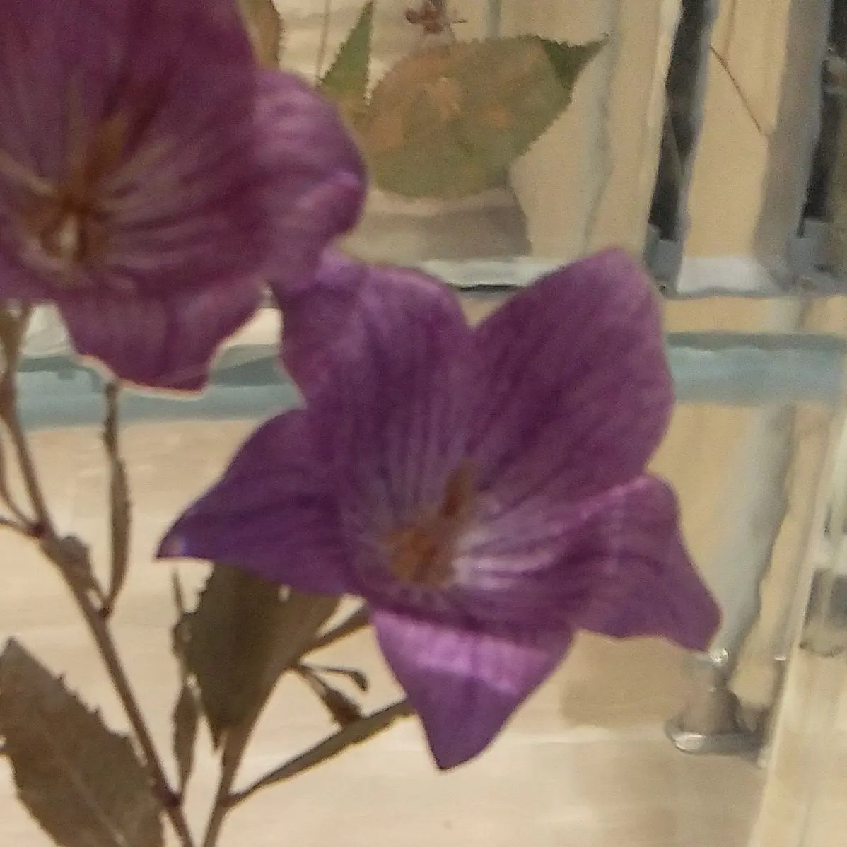 MuskyFrog1087의 シェアハウス