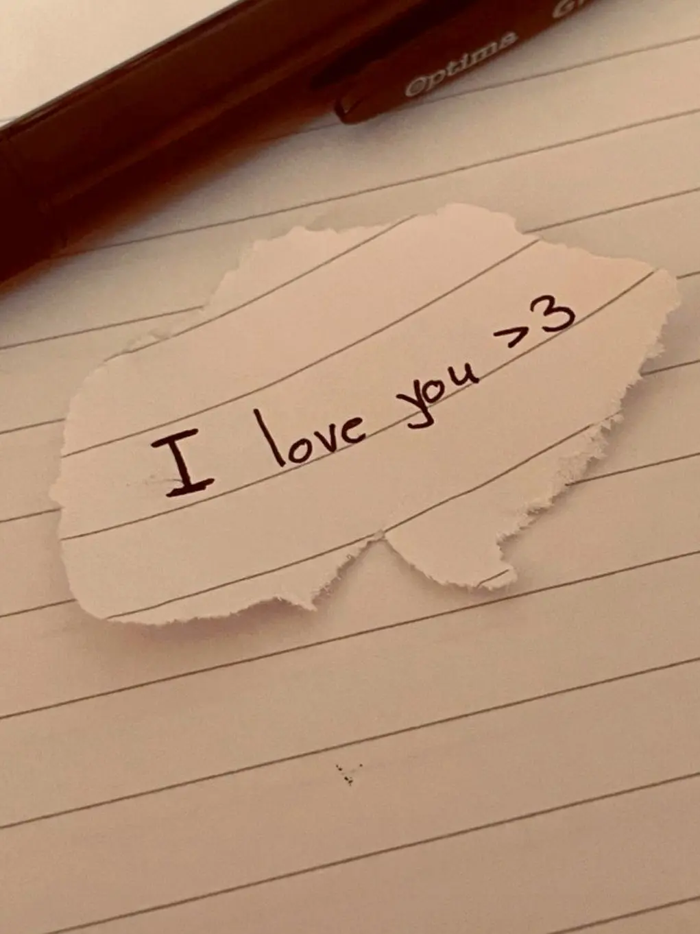 paradise-5의 계약결혼 •.°파이브,코마°.•