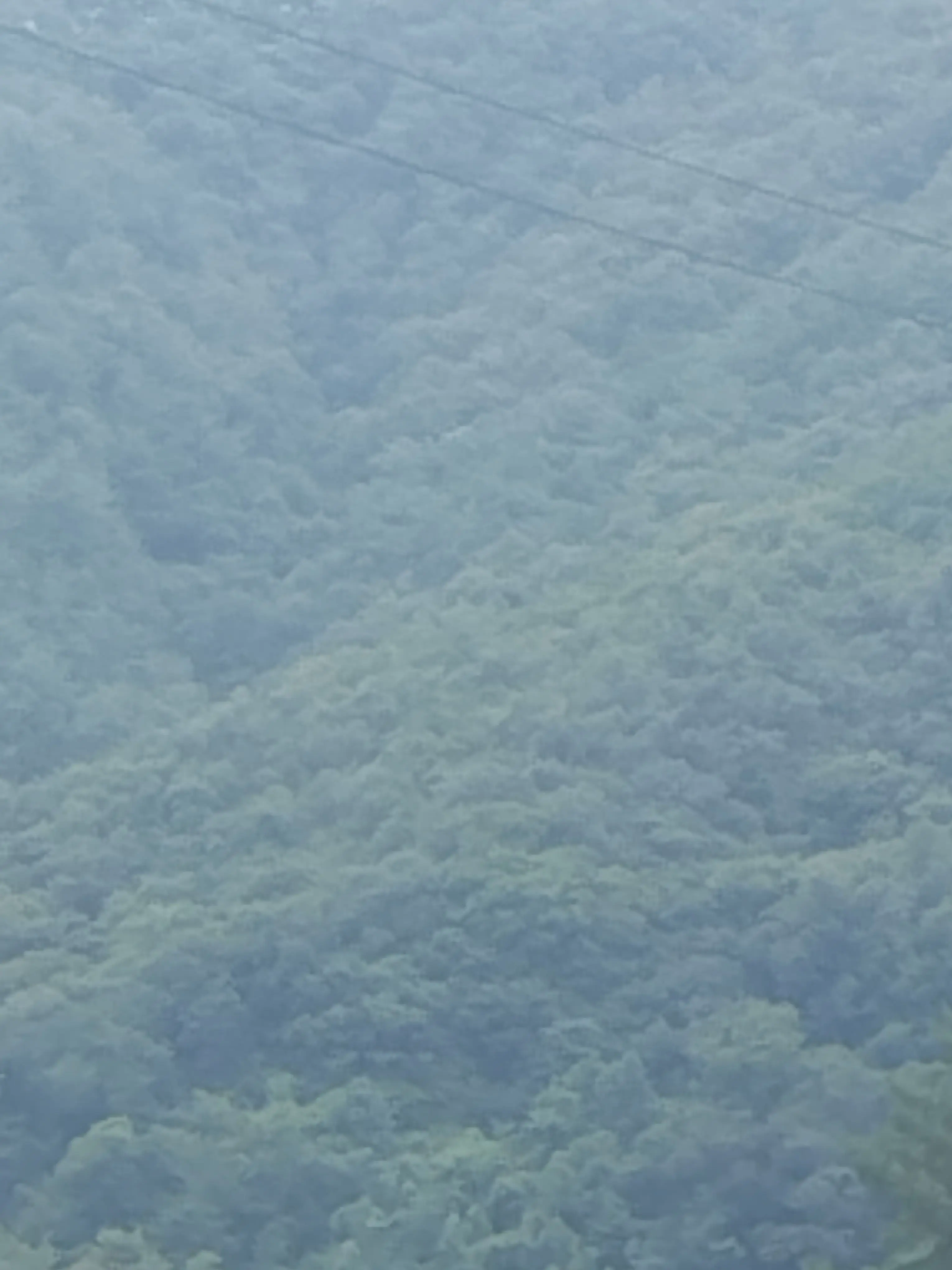 NoisyWall0445의 IT테크