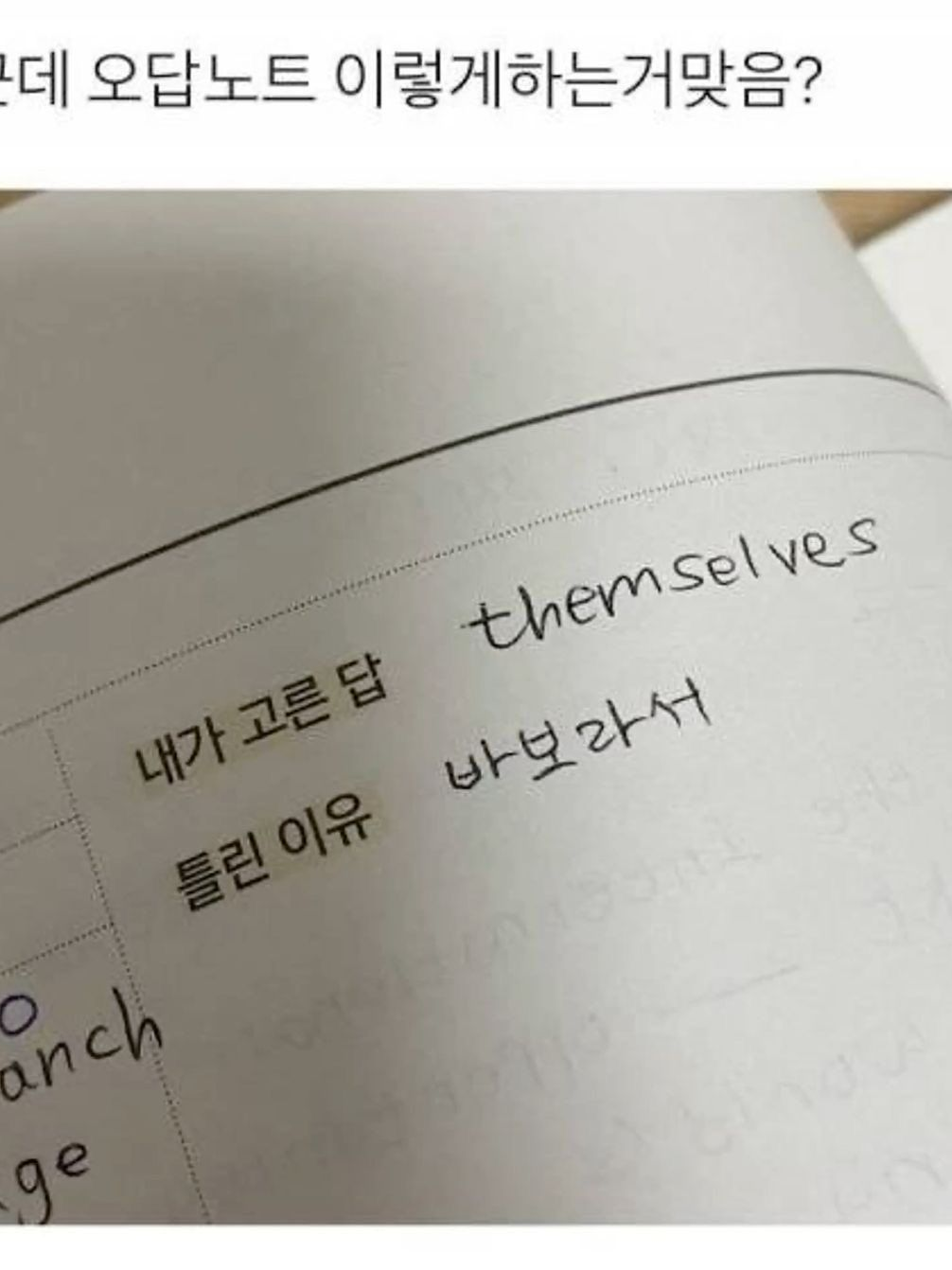 우리 어디서 본적있죠? 아닌가? 대표 이미지