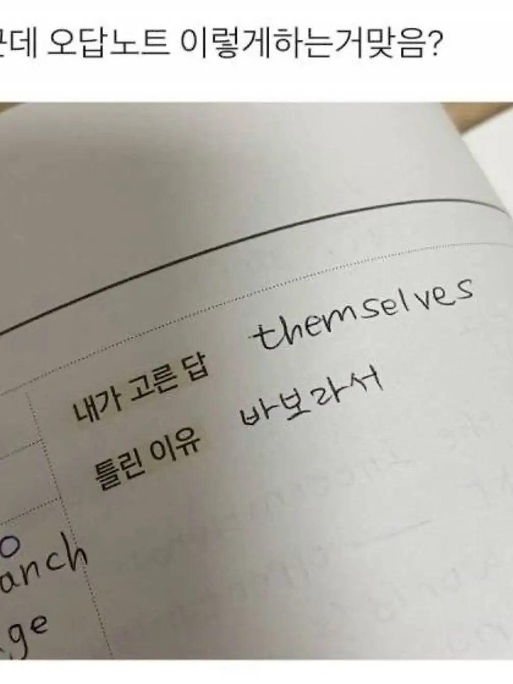 FeebleSigh5956의 우리 어디서 본적있죠? 아닌가?
