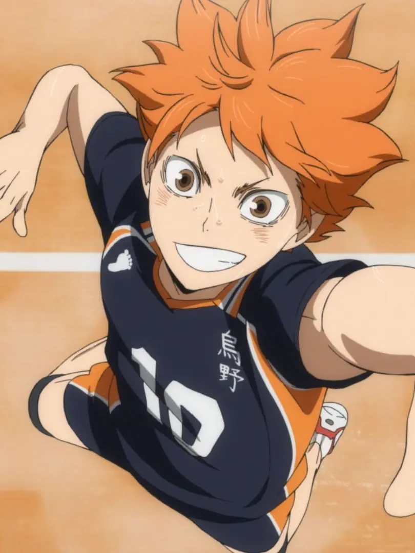 MildSweat4116의 長期合宿 with ハイキュー !!