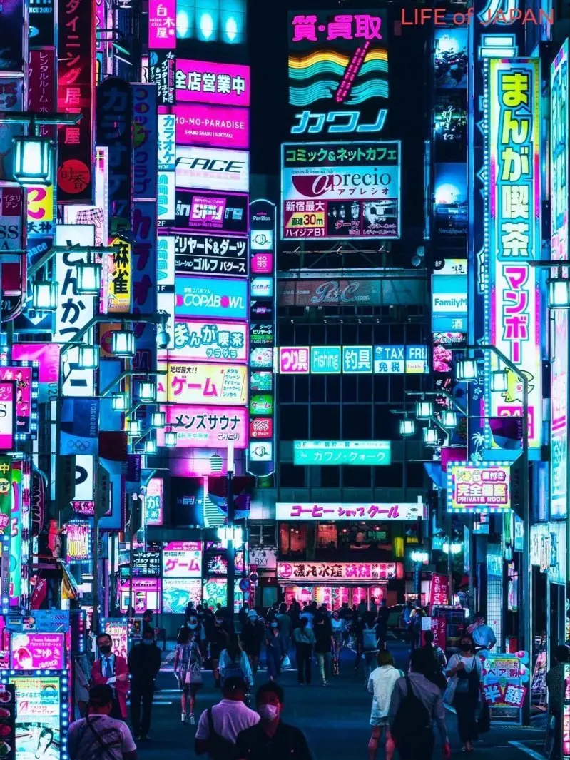 Neko_02의 TRIP Ⅱ ꒦꒷