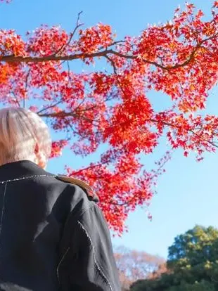 LovingCloak1983의 めんへらかっぷる