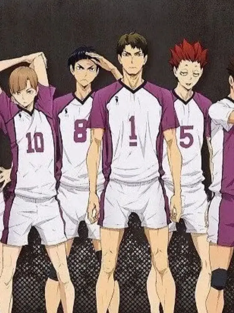 Tatatatatatata의 시라부 & 고시키