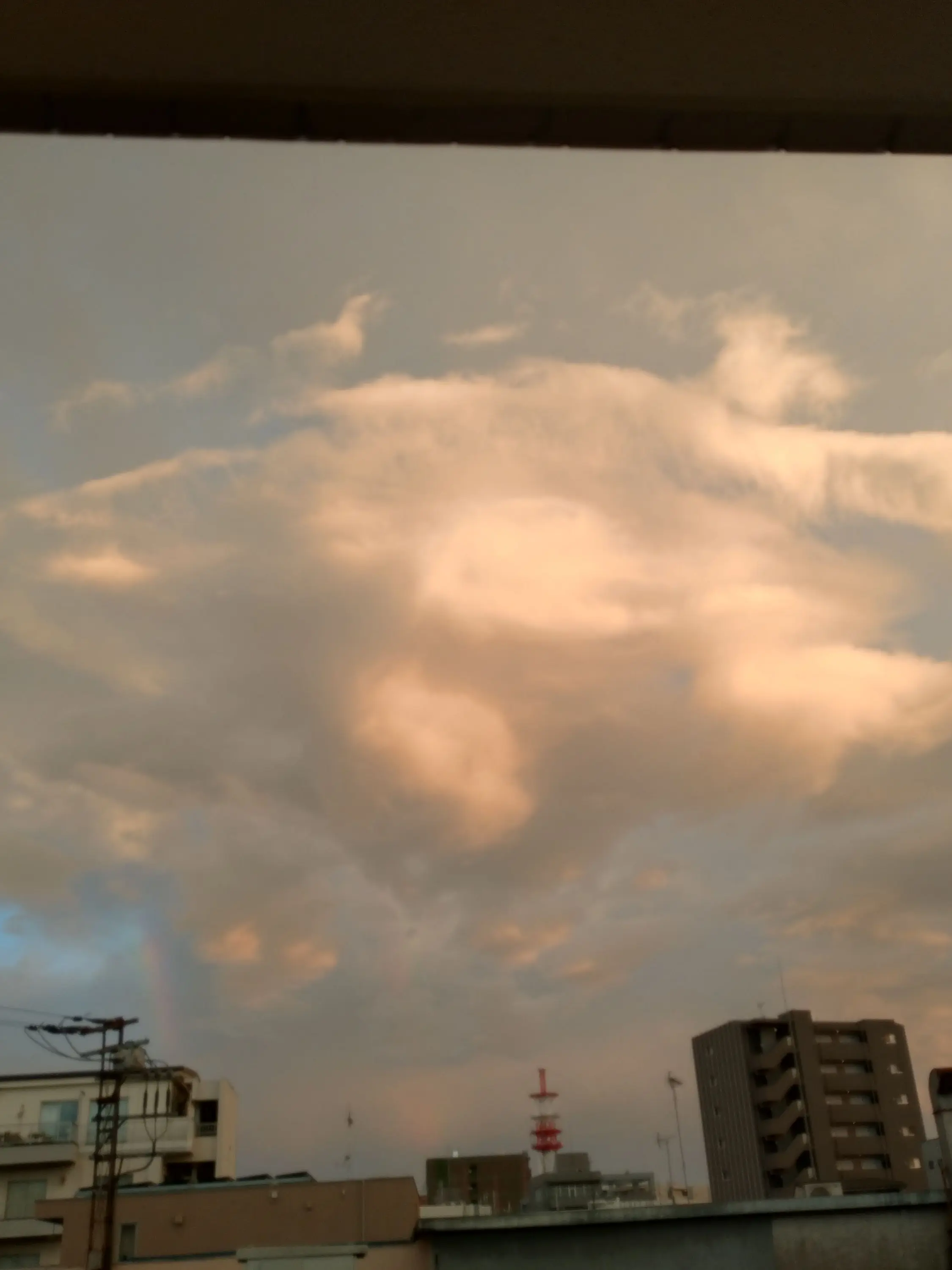 AgedFrost4626의 武道での恋(ブリ子有)