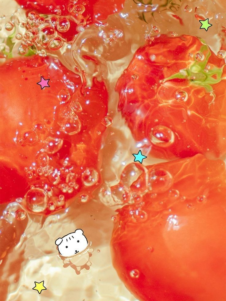 트레이너 쌤. 대표 이미지