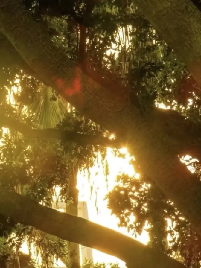 010-love-you의 2p 똑똑한 놈들