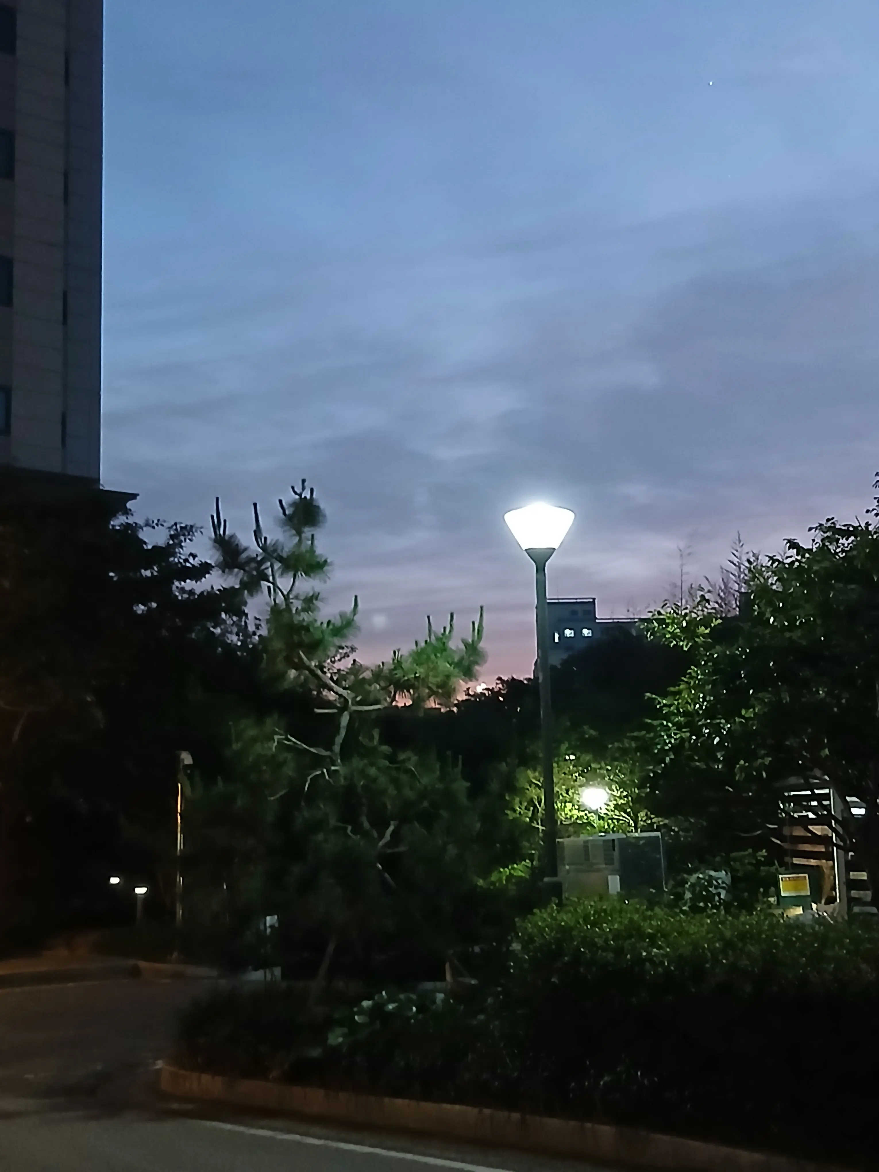 BluntRest6228의 고백의 역사