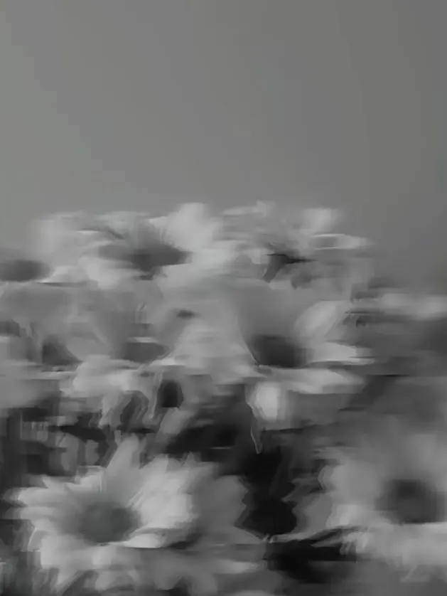 EliteEye4922의 は、あんた…！？