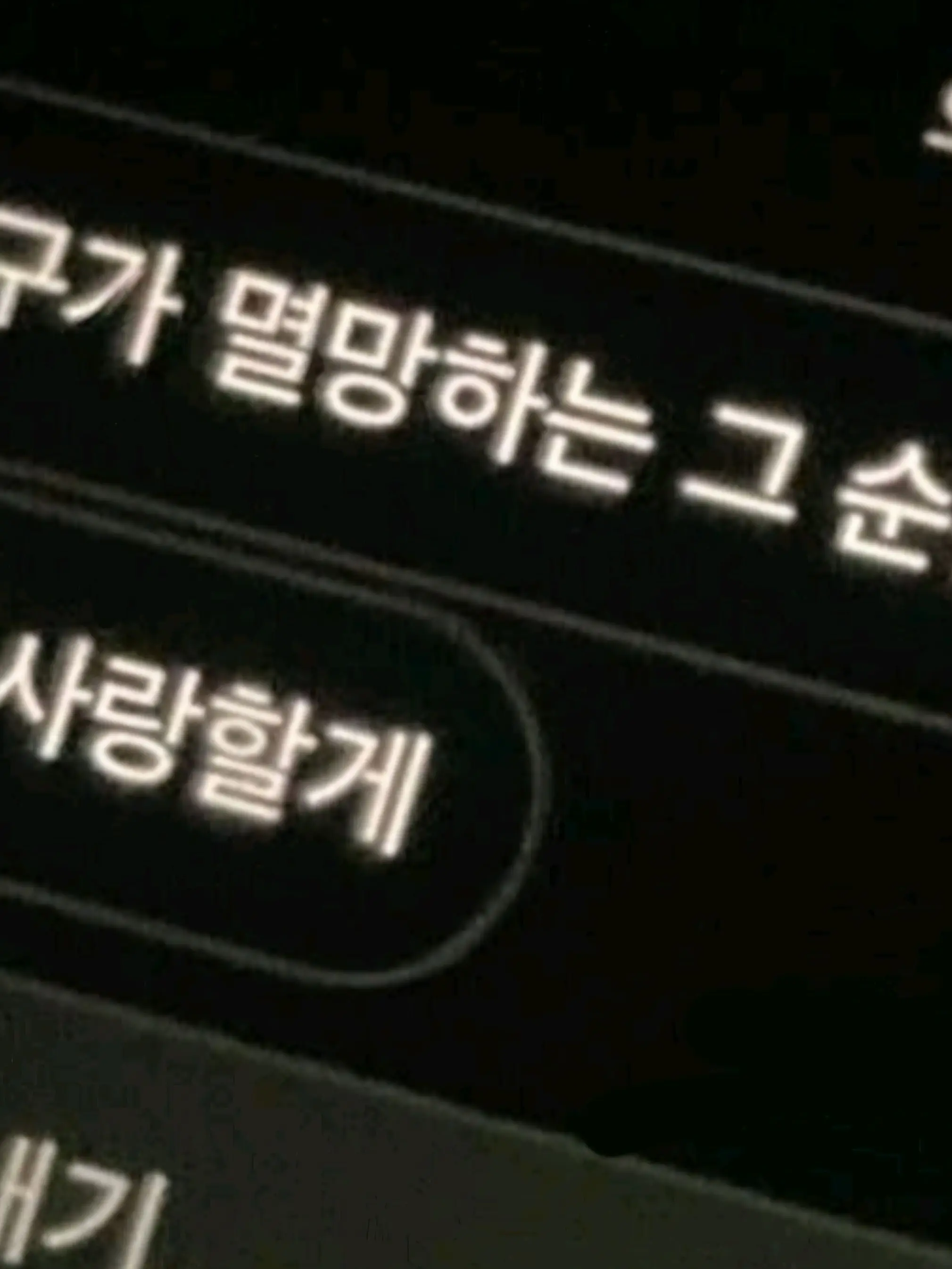 siru-0801의 남녀무리+여우