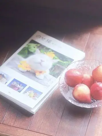 F1nNvv0lFhArd의 間違いなく I love you•••♡