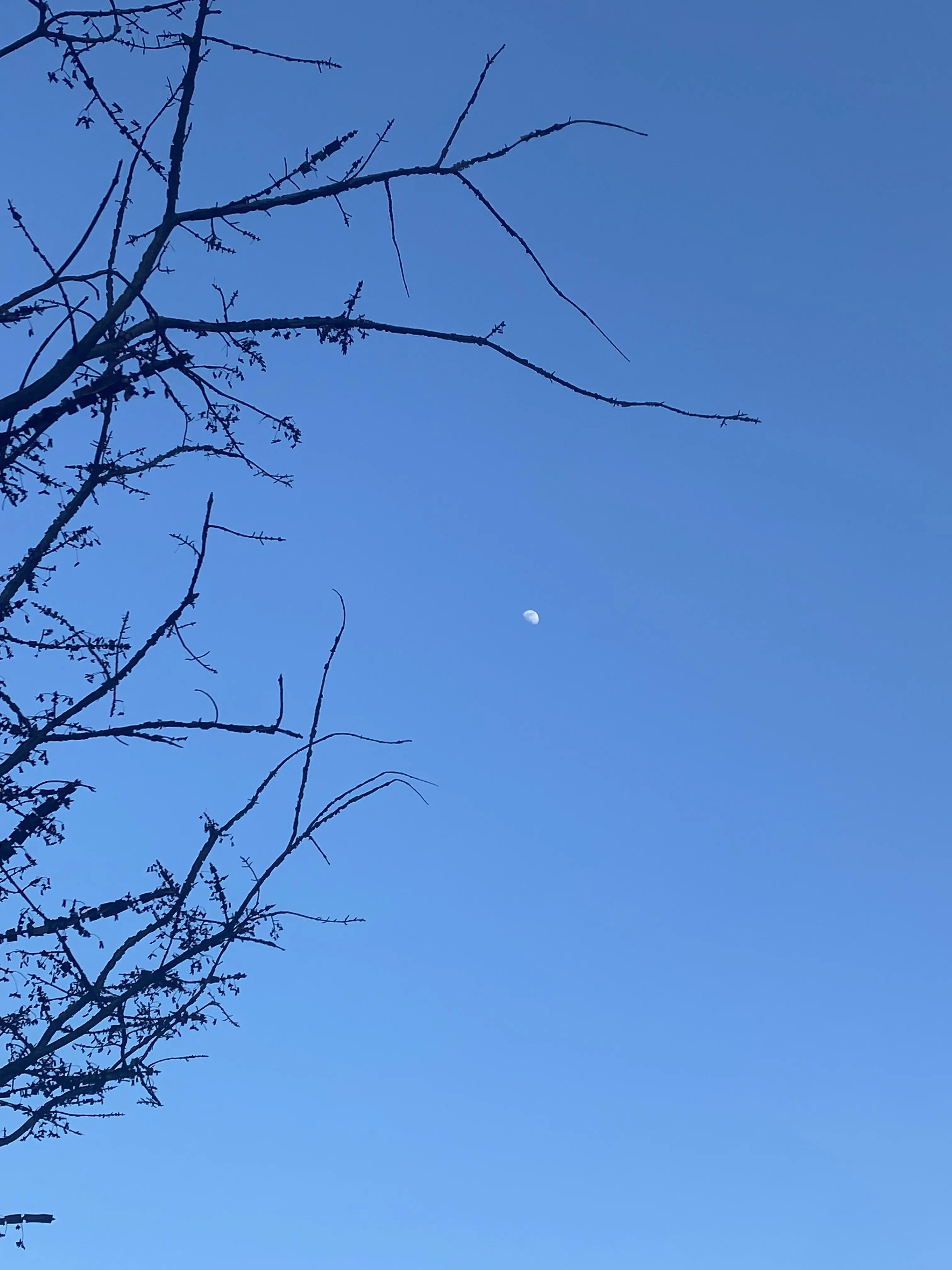 Artist2345의 허긋토! 프리큐어