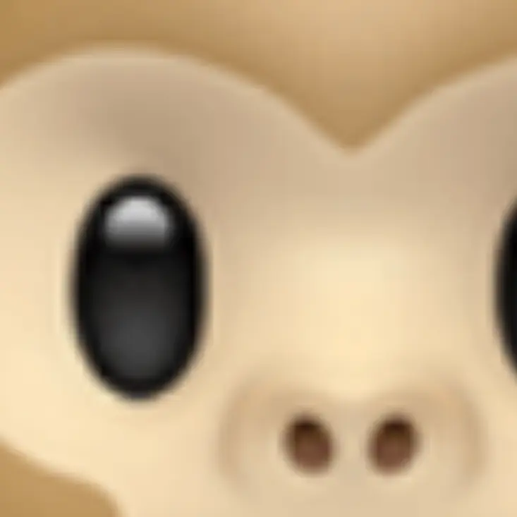 cucucaca의 이소한의 누나가 되. 2