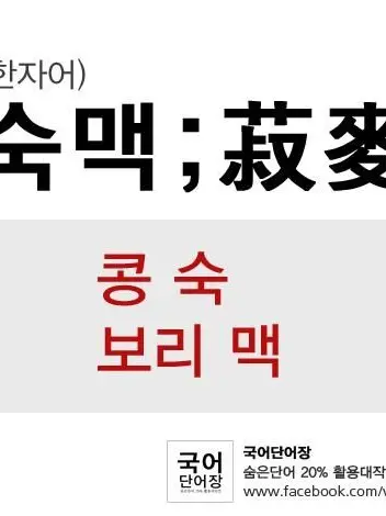 Flying_dororong의 ㅤ