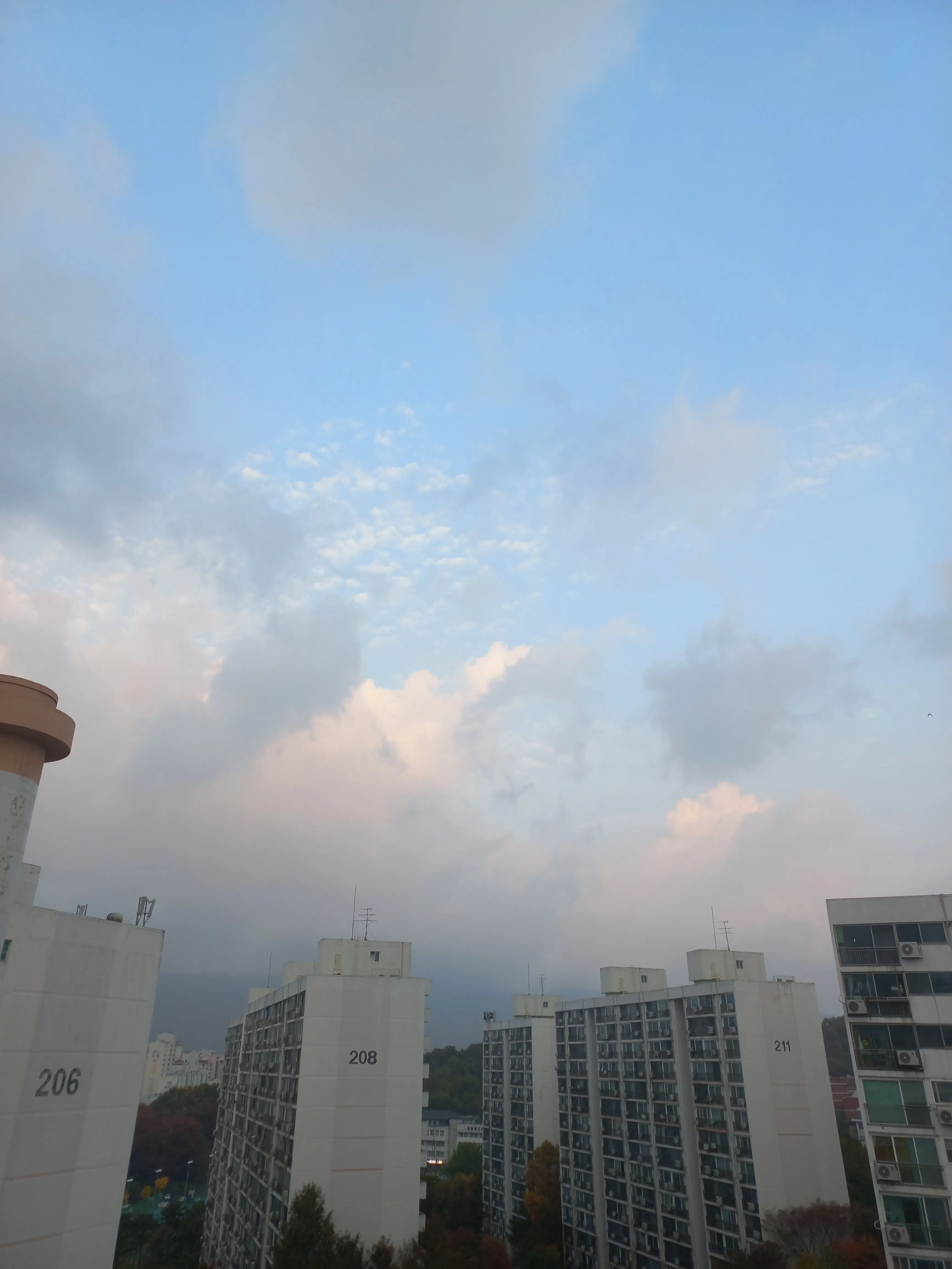 UNI.T_rim의 리레볼루션 {드래곤}