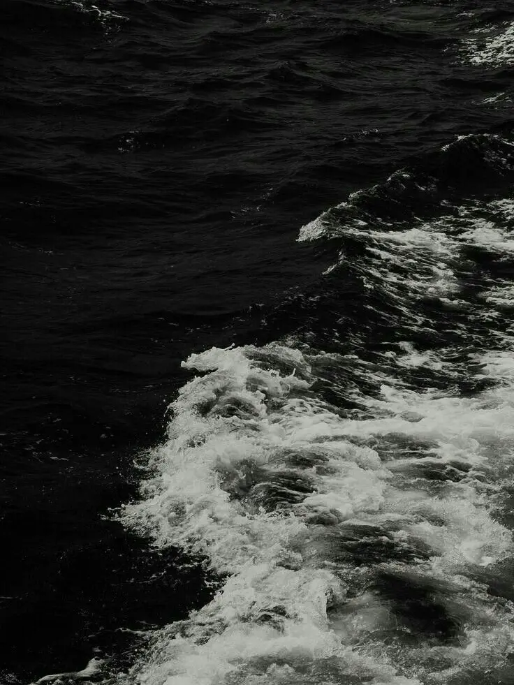 DDdiDDd의 개인용!!개인용!!개인용!!개인용!!