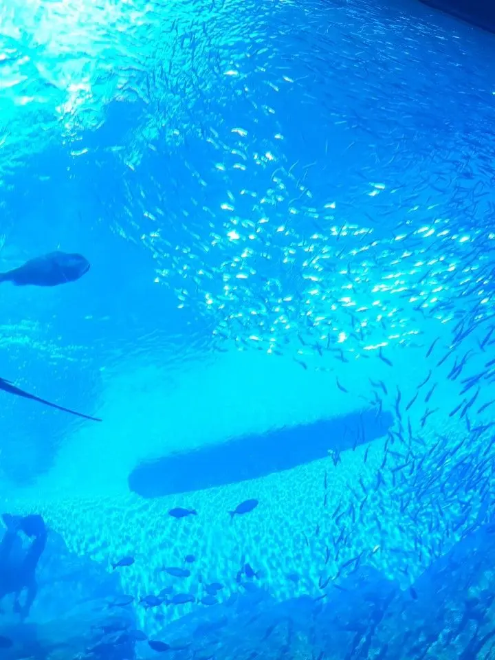 Runa04197의 渋谷を歩いていたら