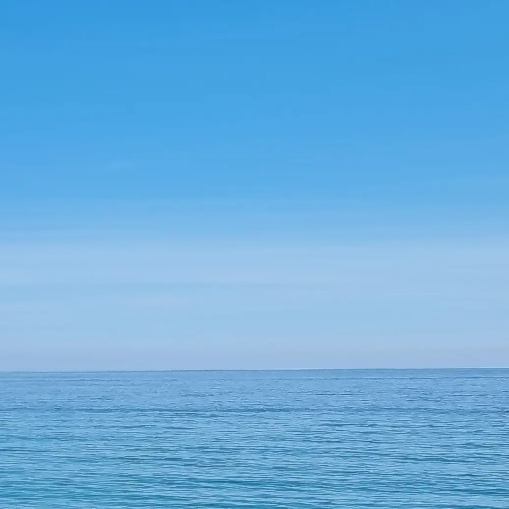 likeoceanfish의 선생이었던 것들.