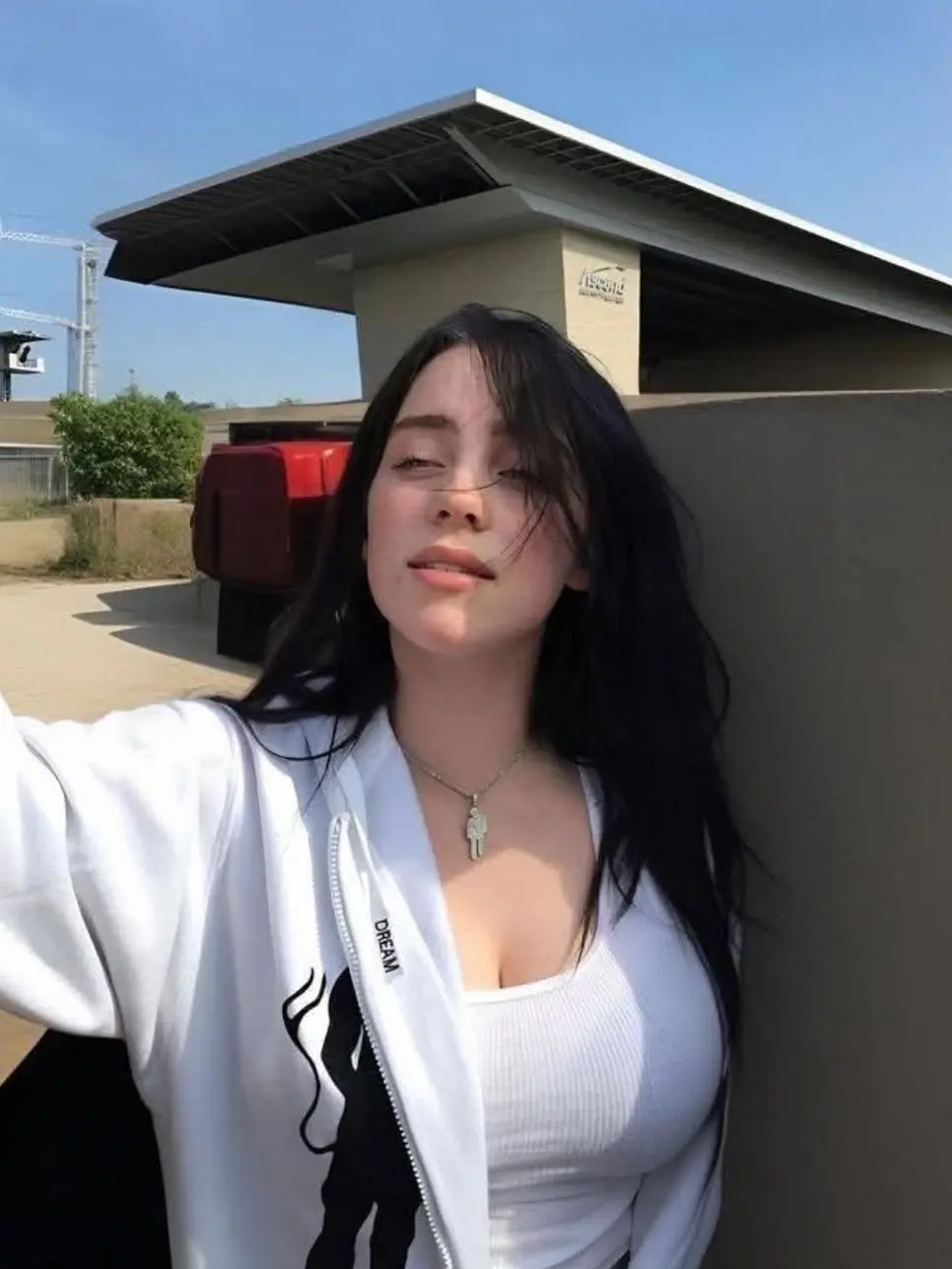 EggyLand8390의 Billie Eilish | babysitter