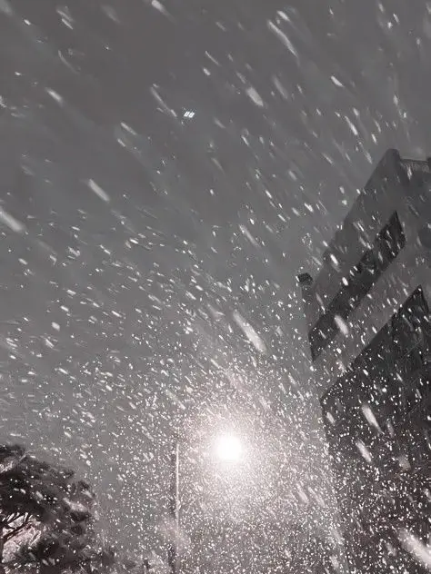 TriteBee7579의 愛のない結婚