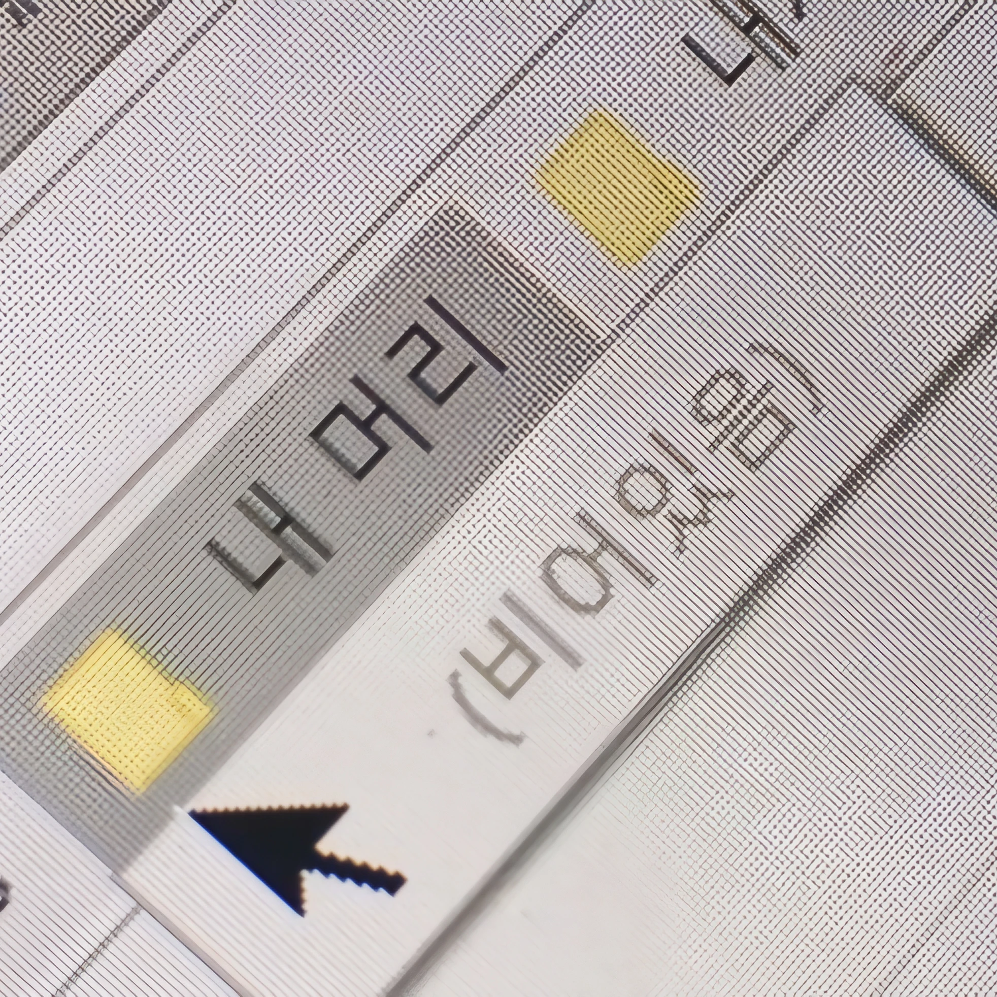 팀나빠 수인 학교