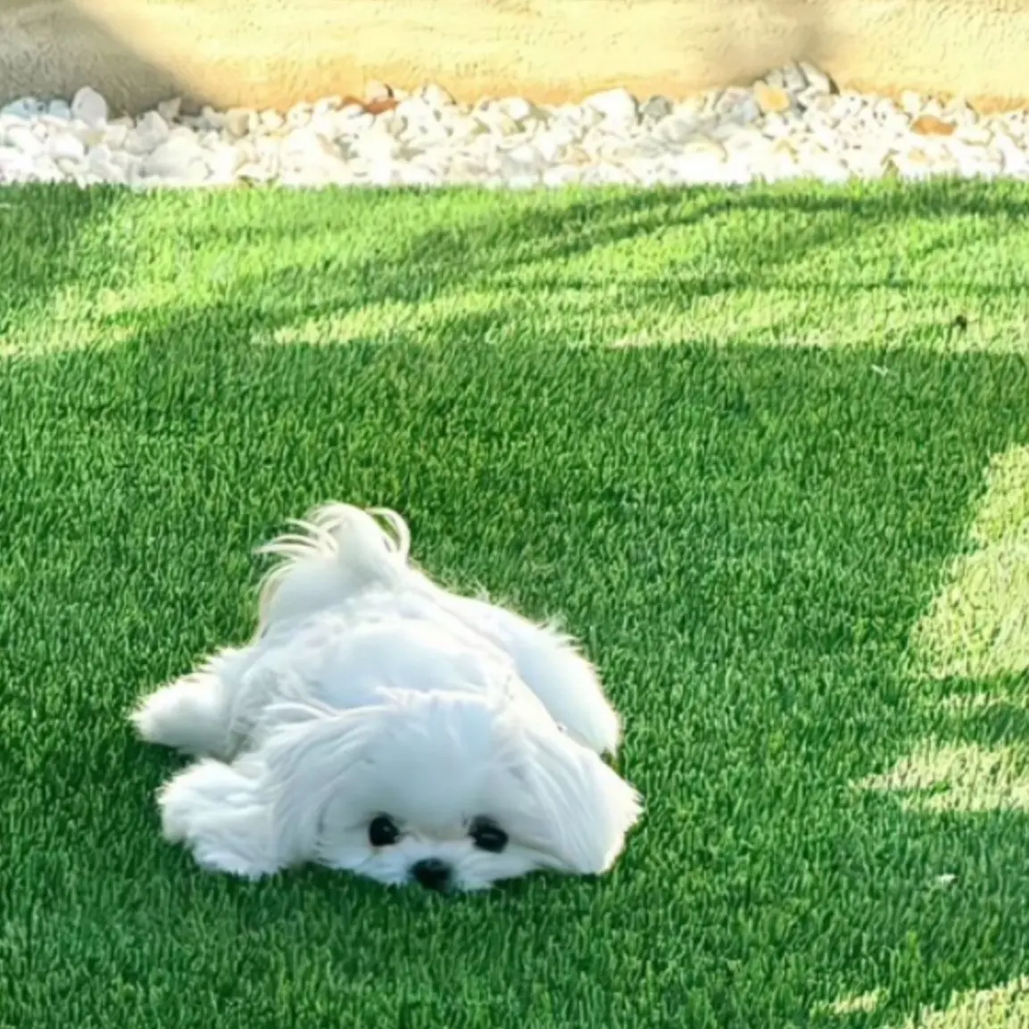 ats_ISTP.의 뜰팁 고등학교