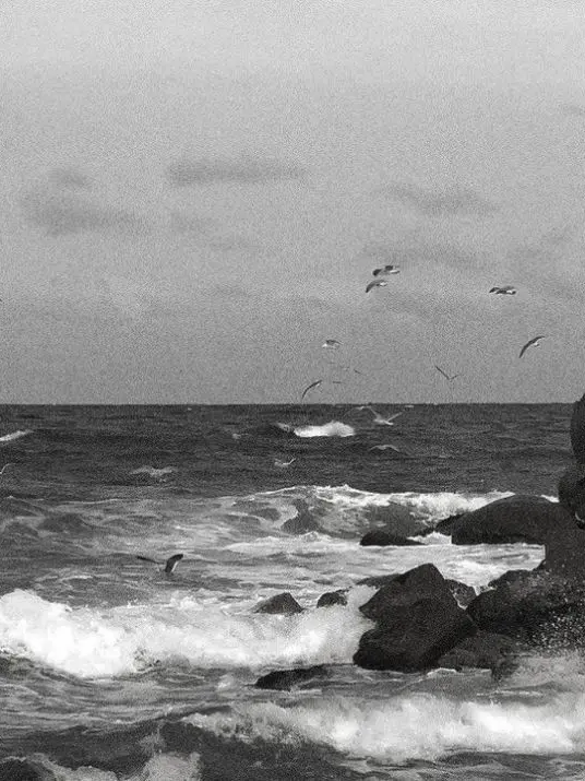 pourtoi의 김민정