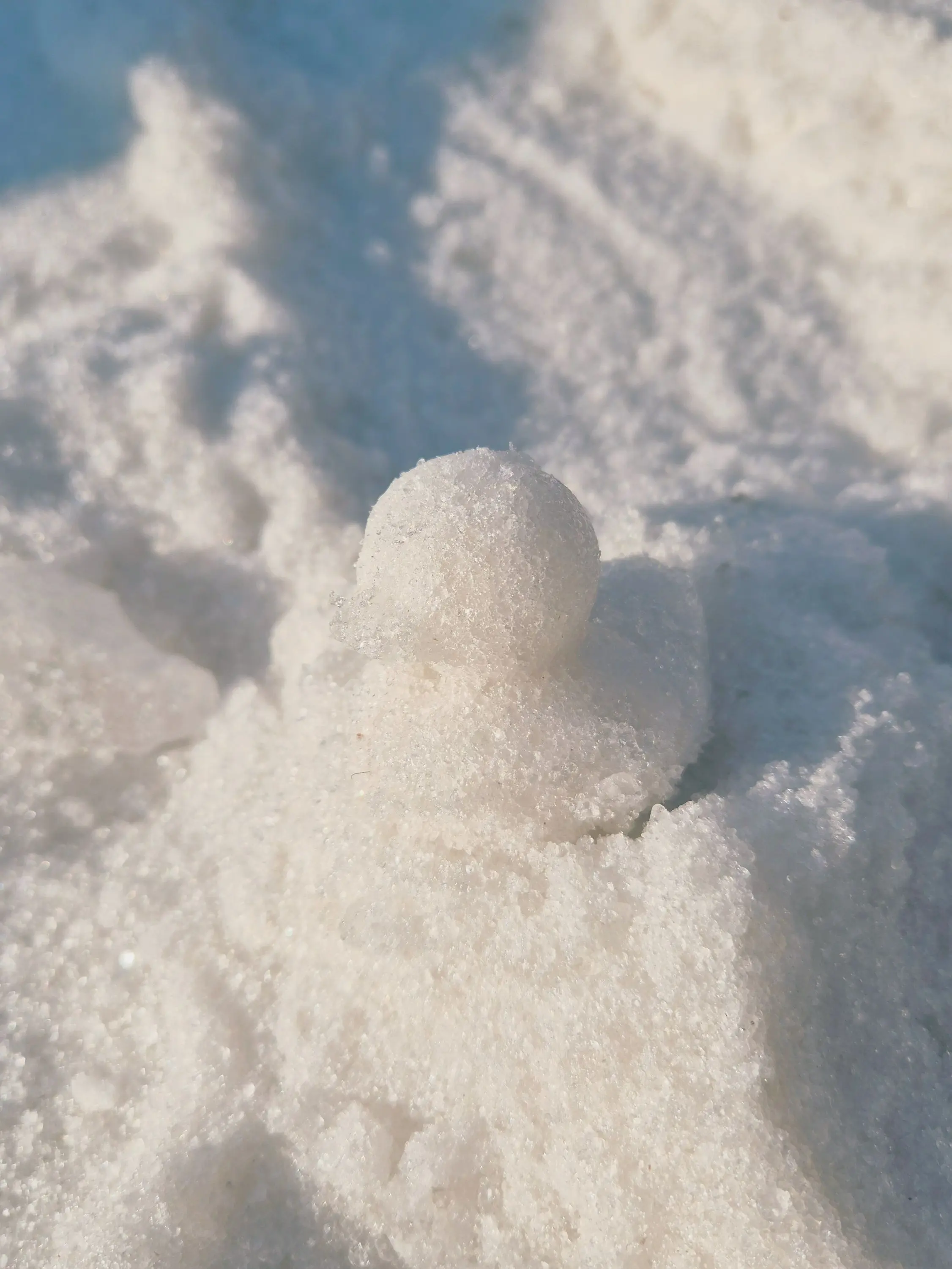 cromanyong의 토키토 무이치로