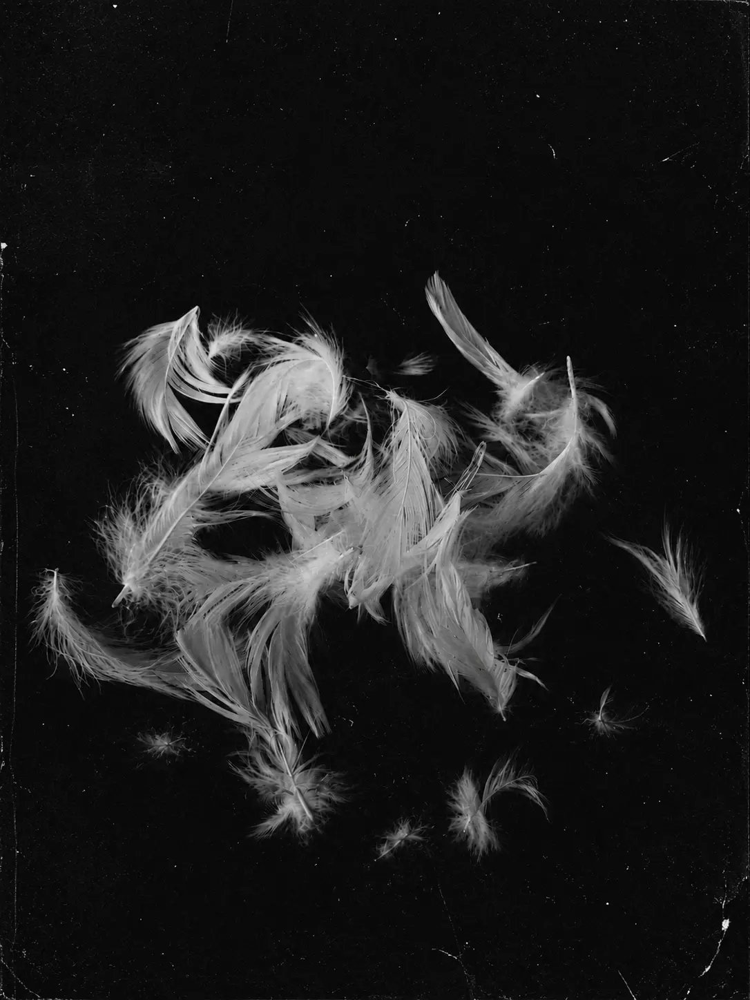 A.b.s의 𝔙𝔢𝔰𝔭𝔢𝔯