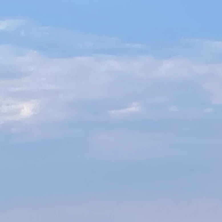 블라인드