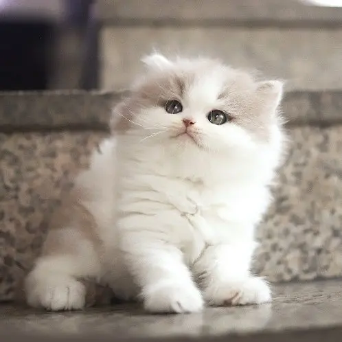 UpsetStoat0877의 이 서 혁