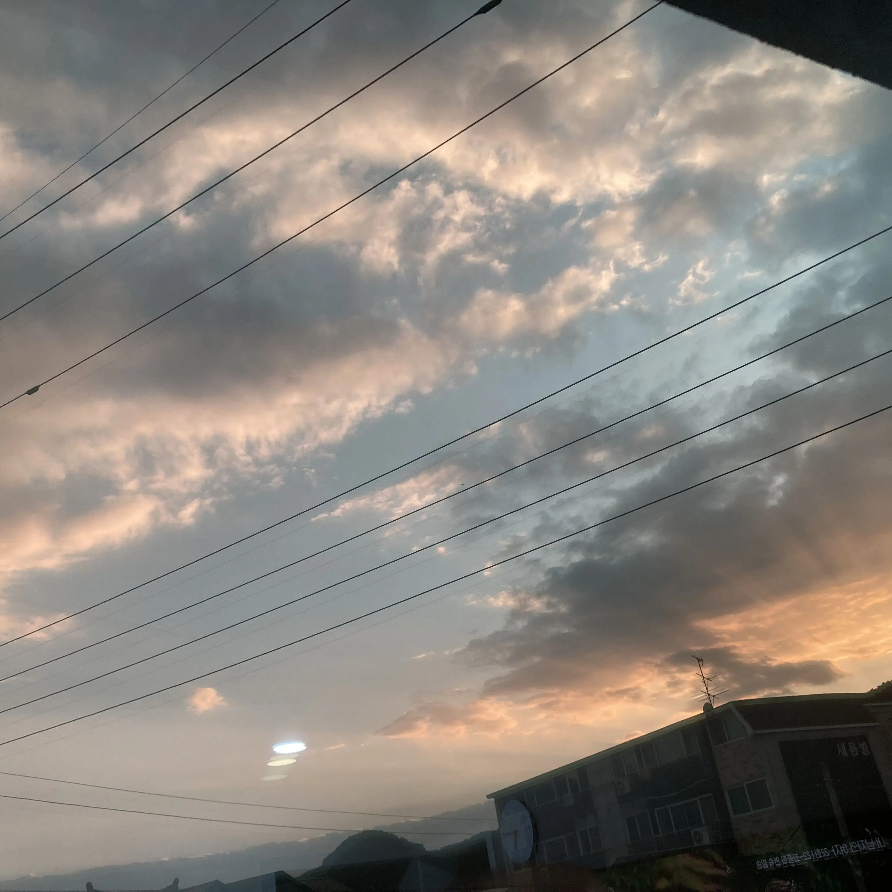 MilkyWayCookieVeryCute의 비스트/에이션트 동거+자캐