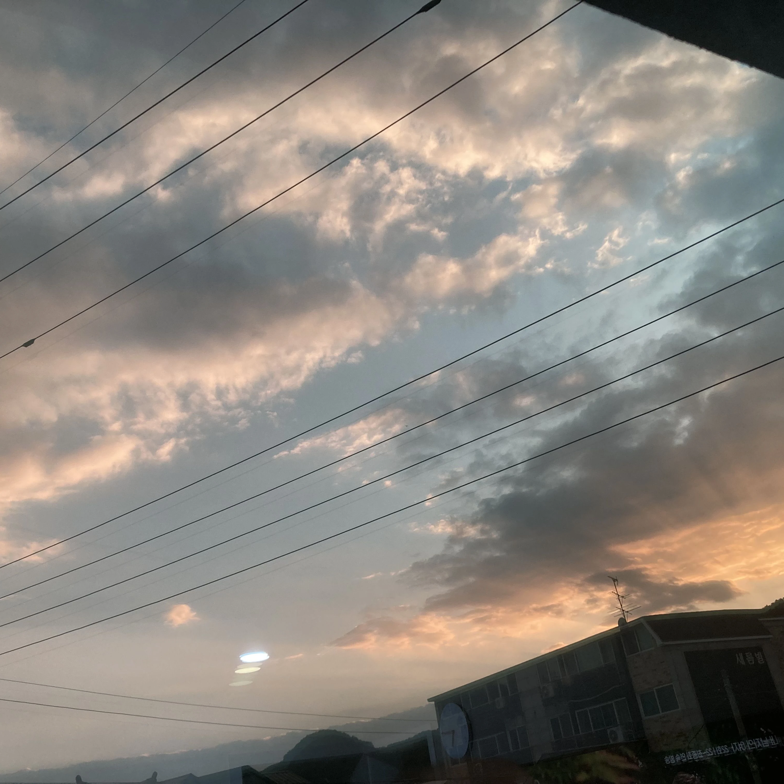 비스트/에이션트 동거+자캐