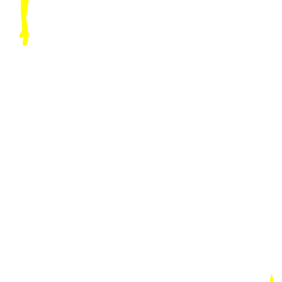 ルール