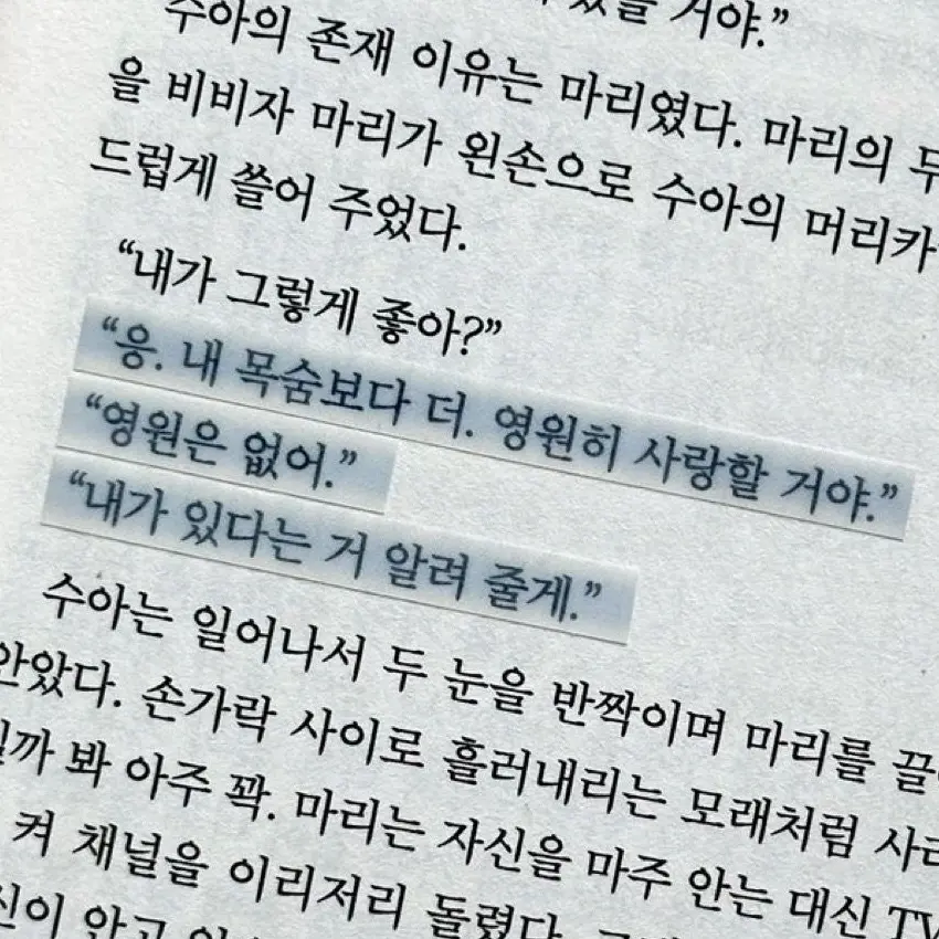 DYNASTY_의 愛憎: 애증