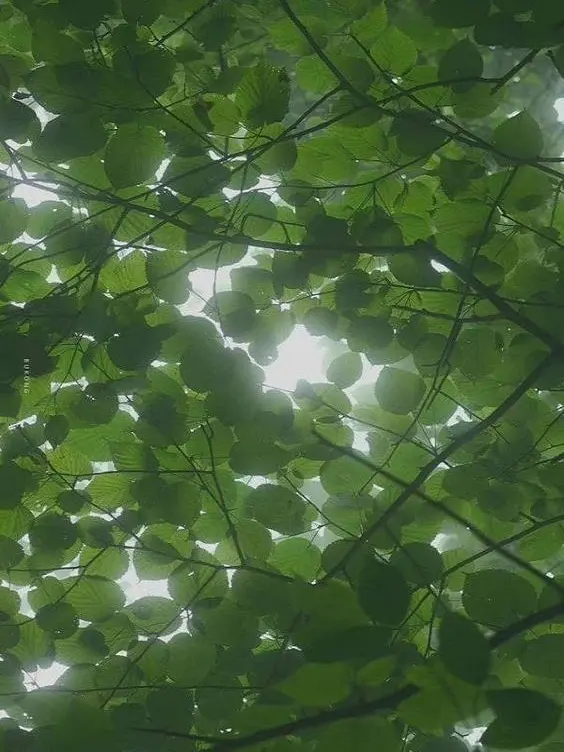 RIver_clear의 옆집 꽃집사장님이 이상해요-🦖