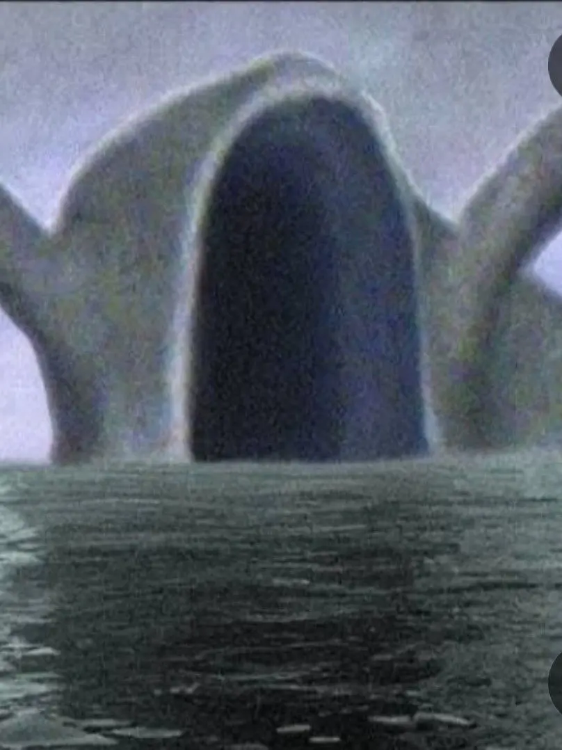 Hood_loveyou의 당신은 바다 괴물 가족의 막내!