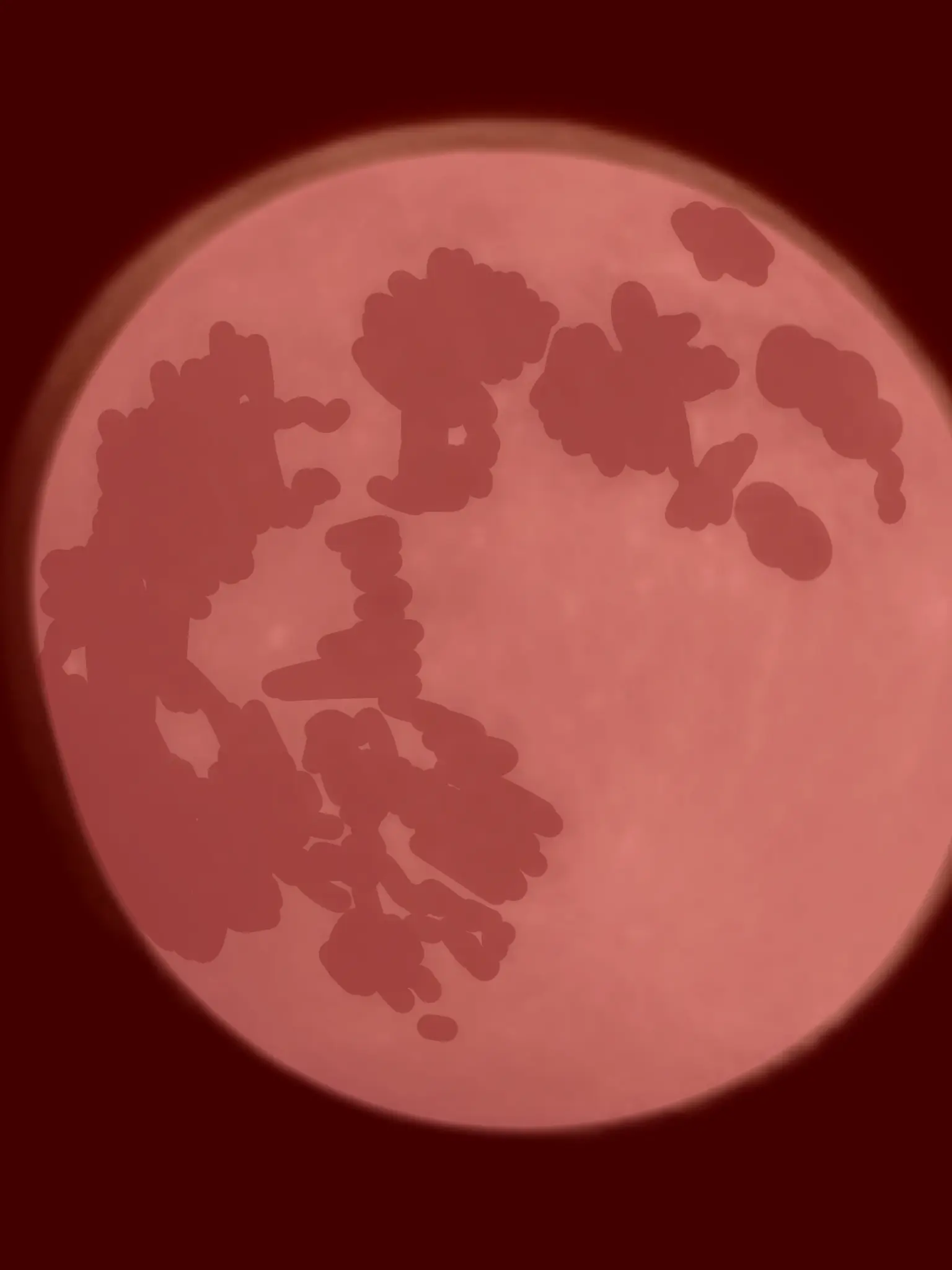 youluniverse2의 '그 달'