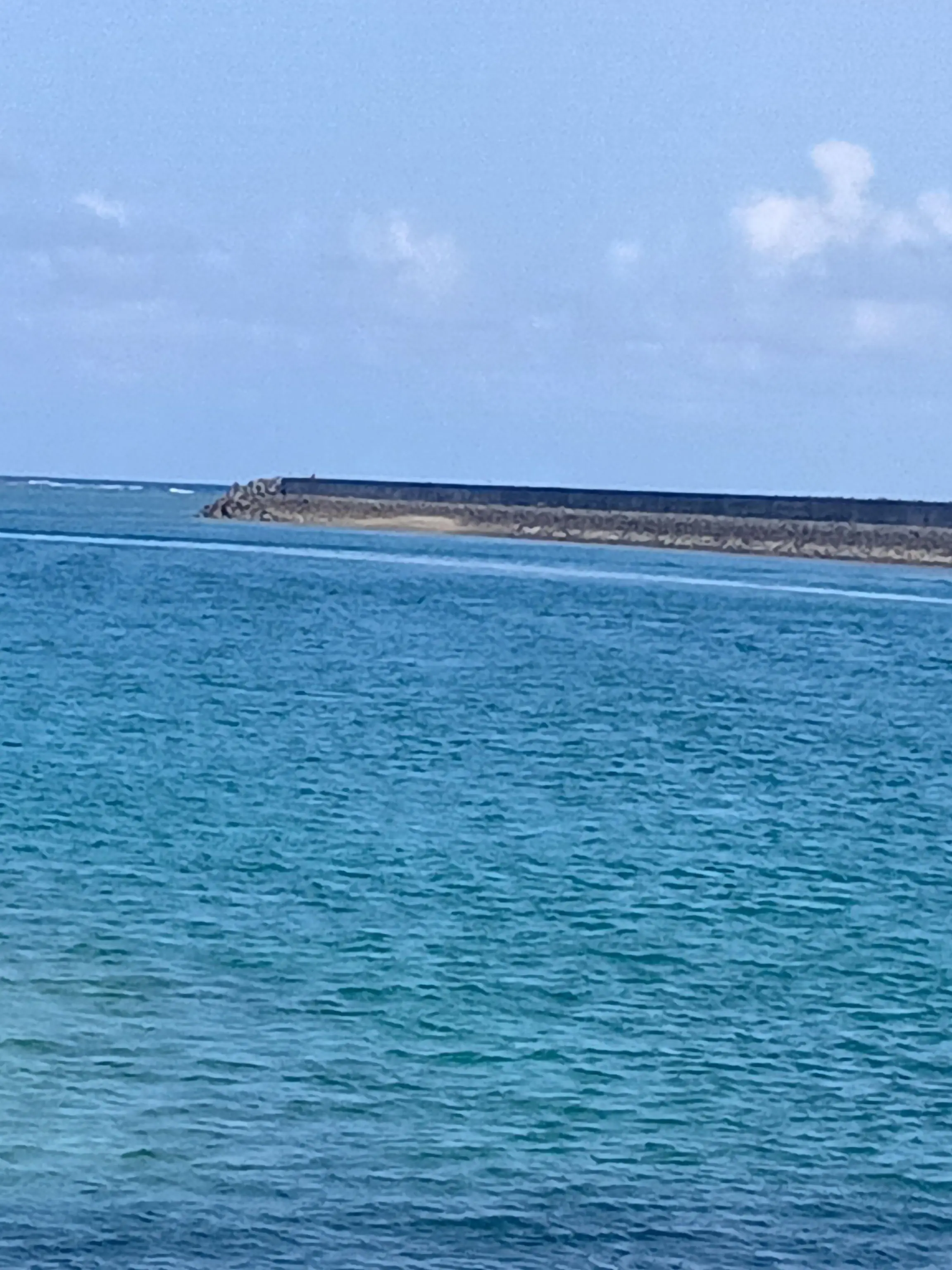 AngstyEar5074의 カンヒュ達はユーザーにエｒいじめするって