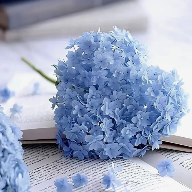 ポッキーゲーム　しましょう　！