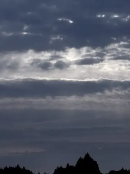 SpikyFlood7485의 貴方は堕天使…