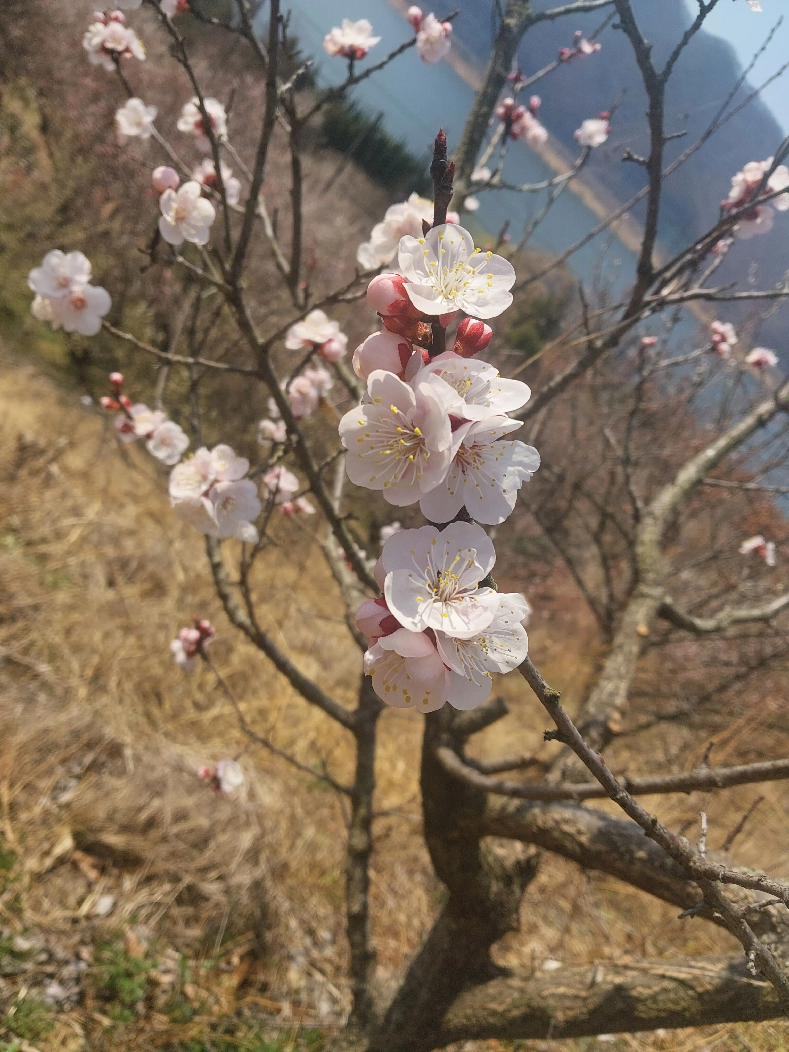 DirtySoup5224의 알아서