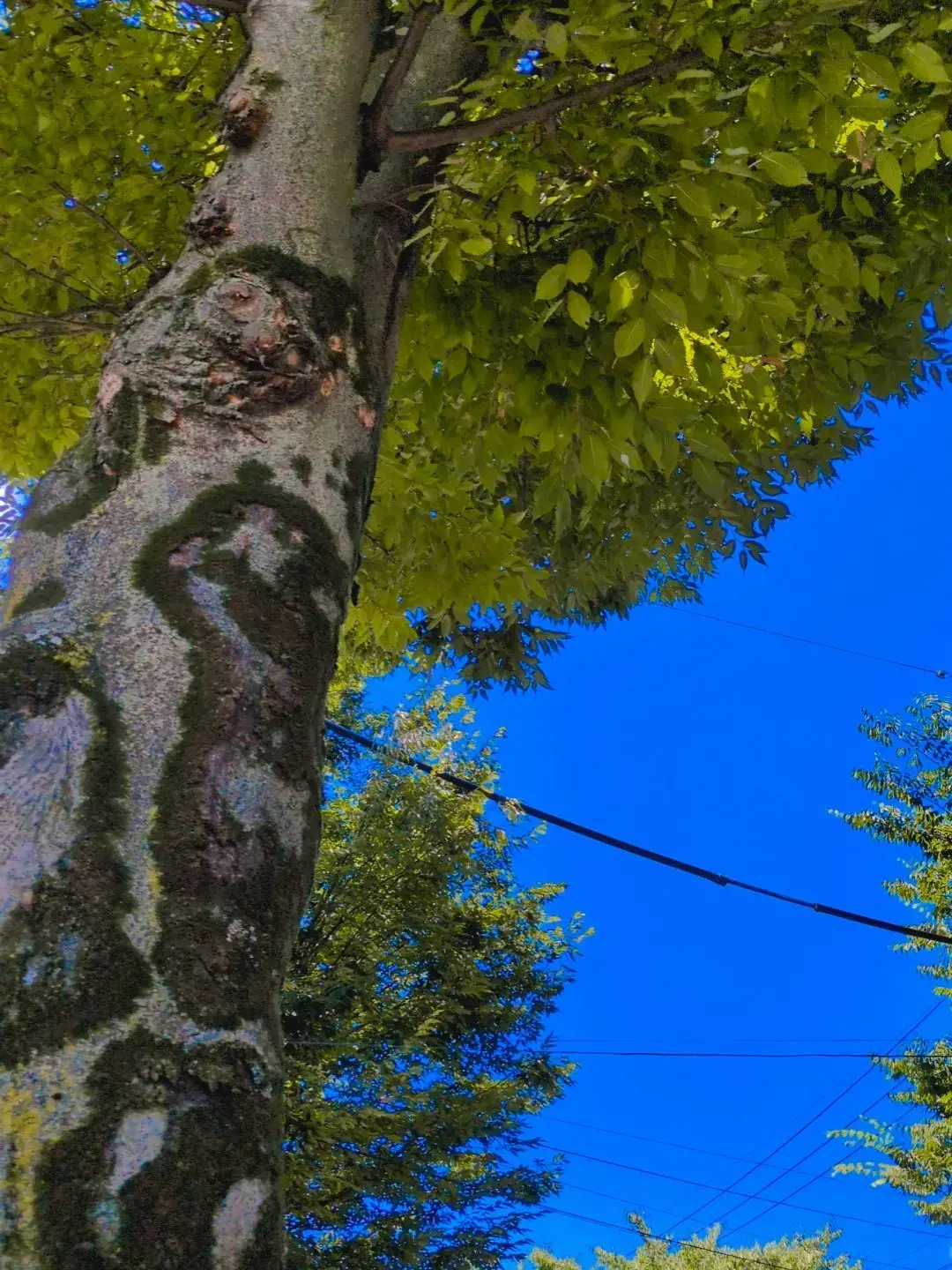 Apricot_o_o의 となりの席の