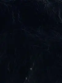 FemmeSoulexCrimslite1의 Thalassophobia