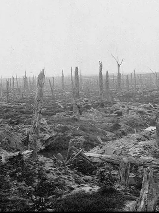 SaintLucia의 제1차 세계대전 RPG