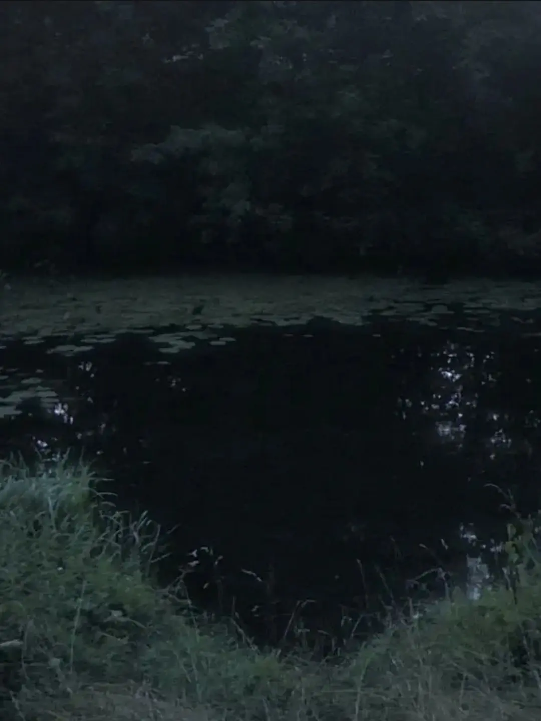 _moonstruck1의 水殺鬼