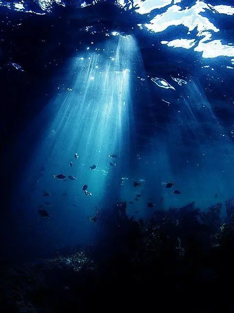 OnlyMine의 好きでは好きだけど···