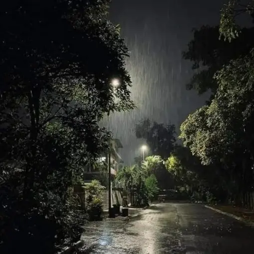 eight_time의 정공룡